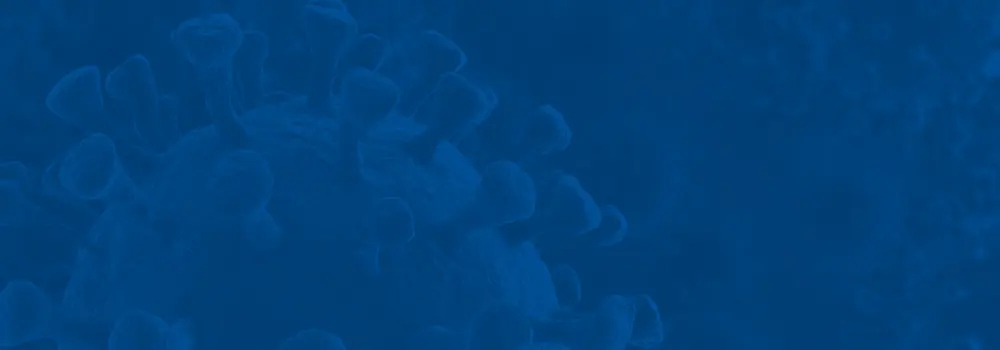 Illustration of a blue virus structure in the shape of a spiky ball against a matching blue background