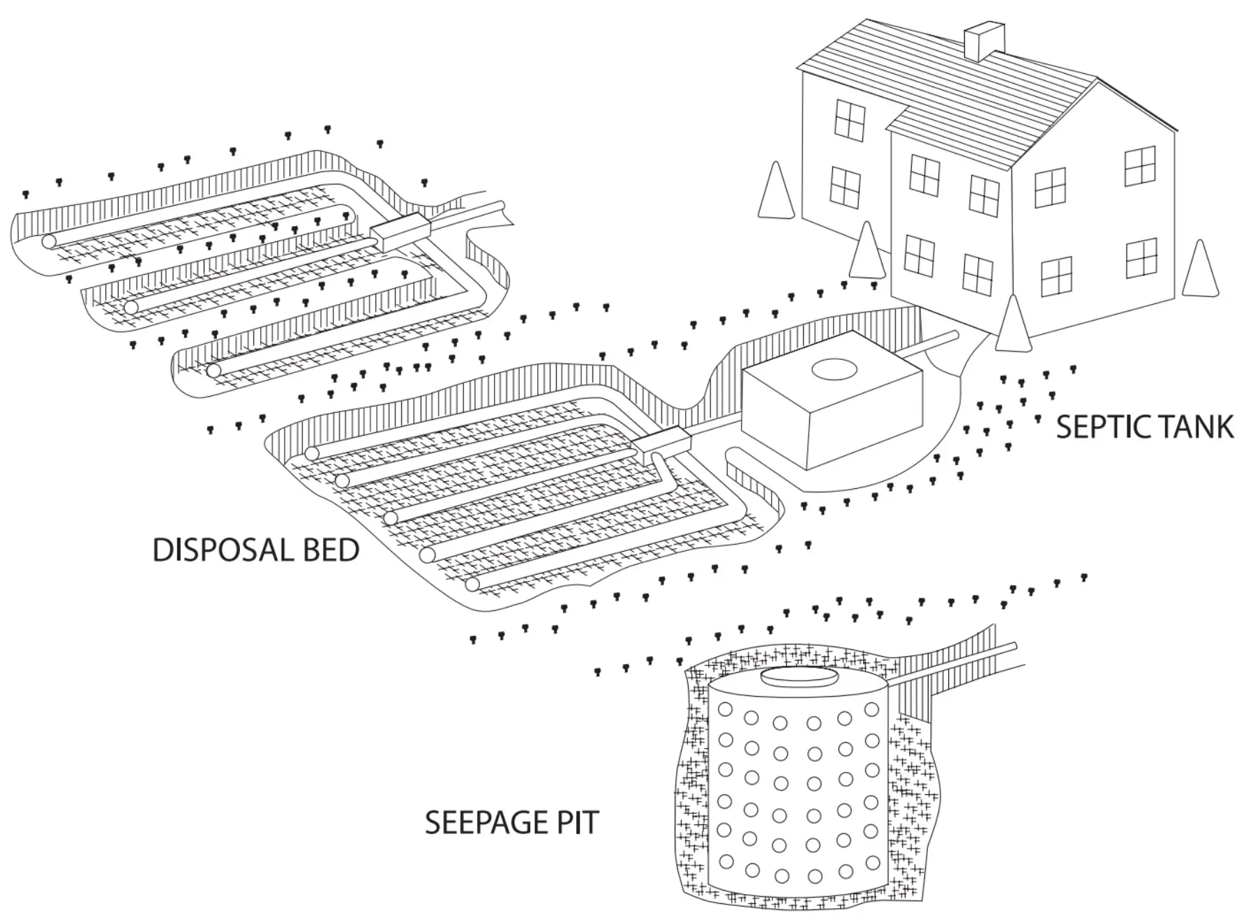 black and white drawing of a house with the underground septic structure exposed showing the septic tank, disposal bed and seepage pit structures and where they are near the house