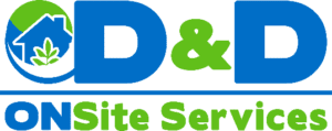 D&D Standalone - Color